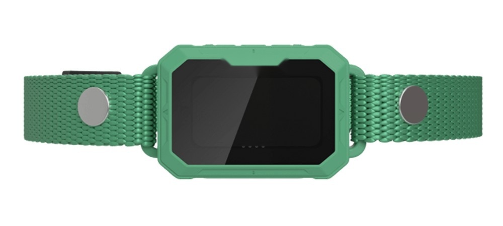 Close-up of the green collar receiver and strap